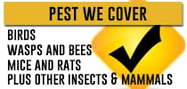 pest-we-cover