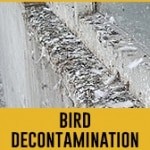 bird decontamination