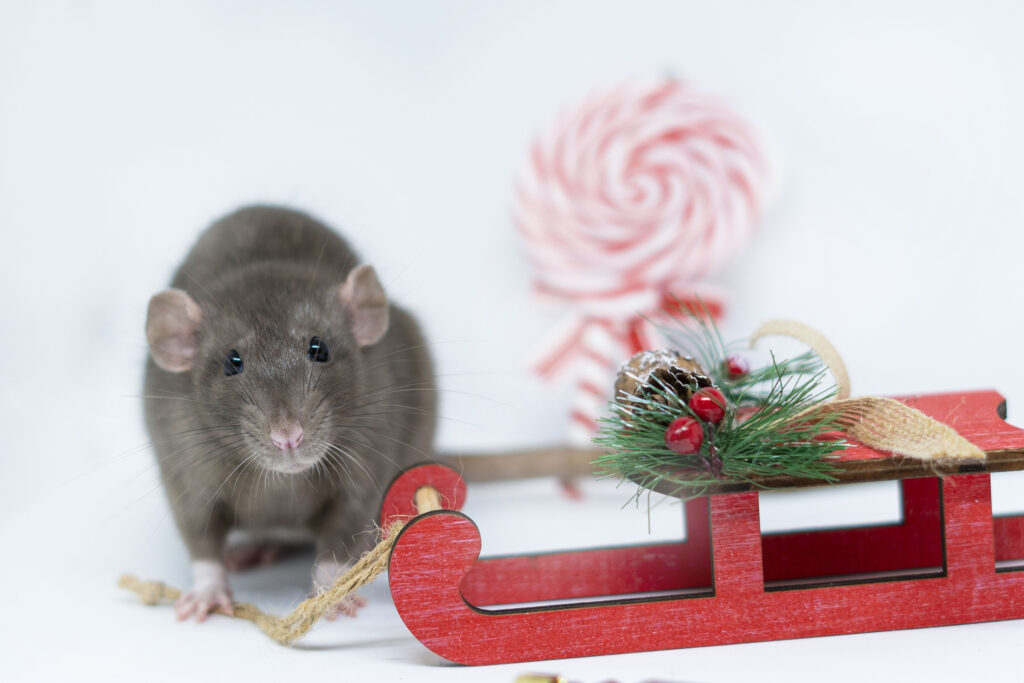 Cartoon mouse wearing Santa hat and writing Christmas wish list.