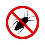 Pest Control Experts