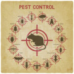 Pest Control