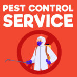 Pest Control Service in Manchester