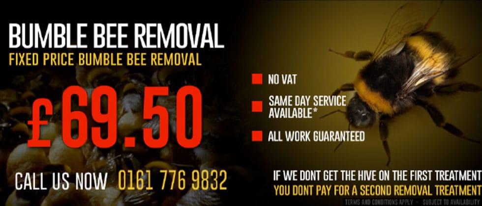 Bumblebee Hive Removal £69.50