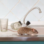 Sutton Leach Professional Pest Control Rats