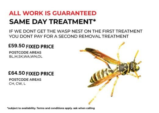 Wasp nest deals removal cost